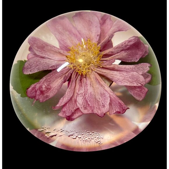 Pressed Pink Flower Paperweight by W. Rolfe Lucite Sphere Encasing Real Flower & - Picture 4 of 9